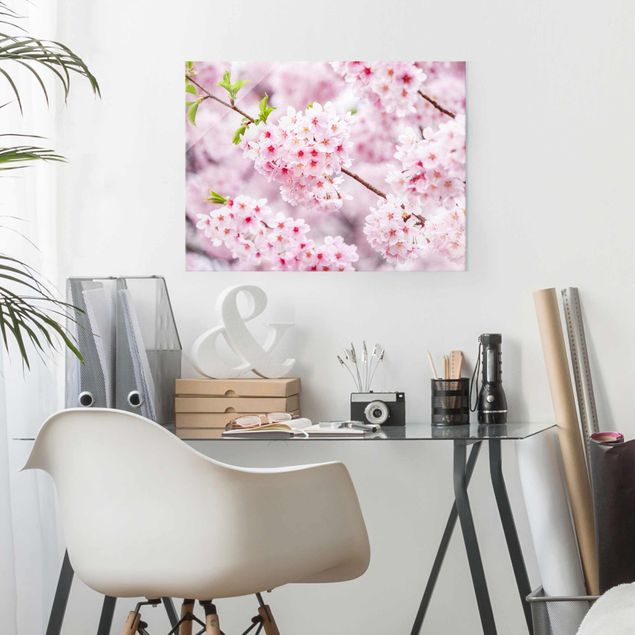 Glasbilder Blumen Motive Japanische Kirschblüten