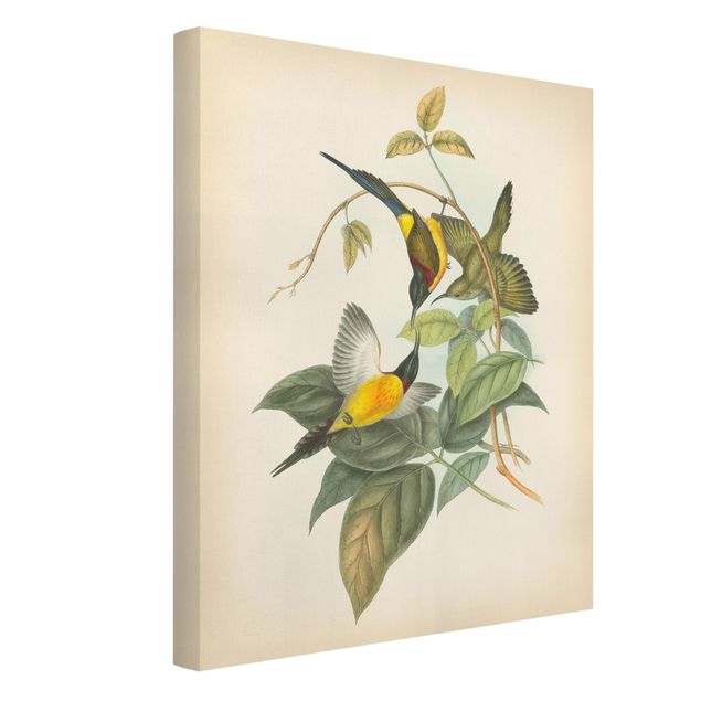 Wandbilder Floral Vintage Illustration Tropische Vögel IV