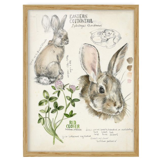 Wandbilder Blumen Wildnis Journal - Kaninchen
