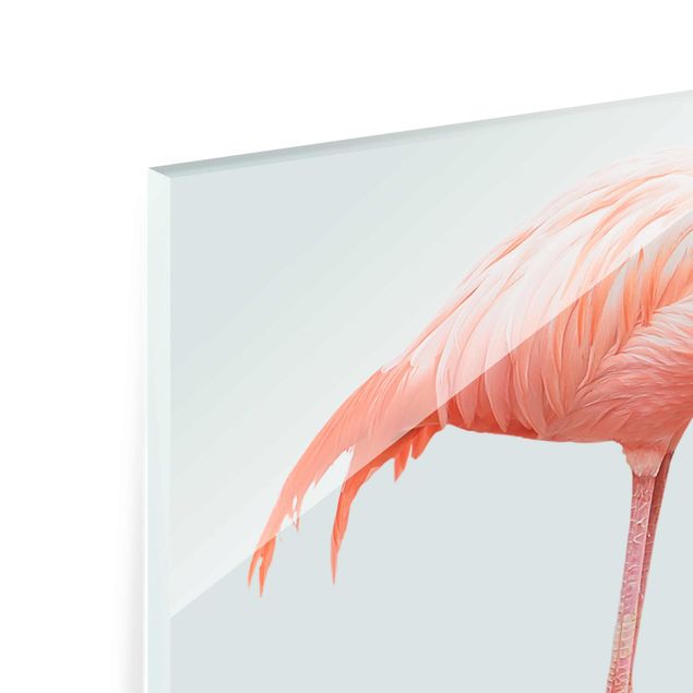 schöne Bilder Flamingo mit High Heels