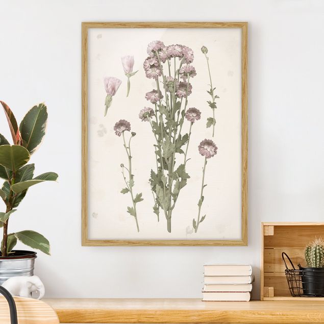 gerahmte Blumenbilder Herbarium in rosa I