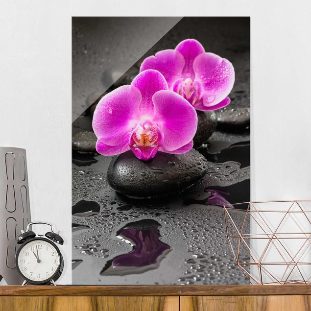 Glasbilder Orchideen Pinke Orchideenblüten auf Steinen mit Tropfen