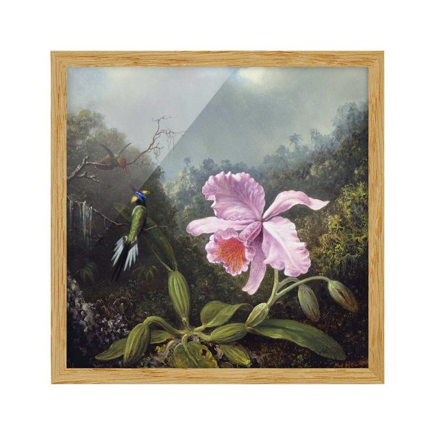 Bilder gerahmt Blumen Martin Johnson Heade - Stillleben mit Orchidee und zwei Kolibris