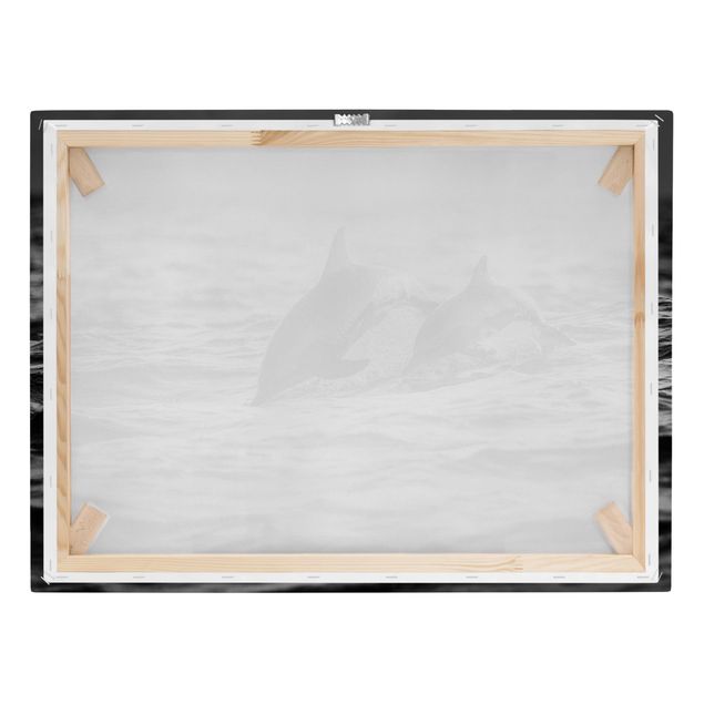 Wandbilder Schwarz-Weiß Zwei springende Delfine