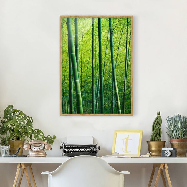 Wandbilder Bambus Bambuswald