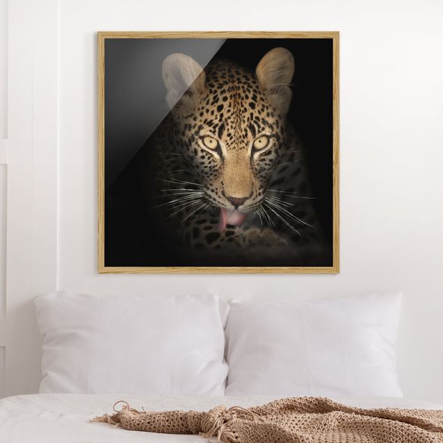 schwarz-weiß Bilder gerahmt Resting Leopard