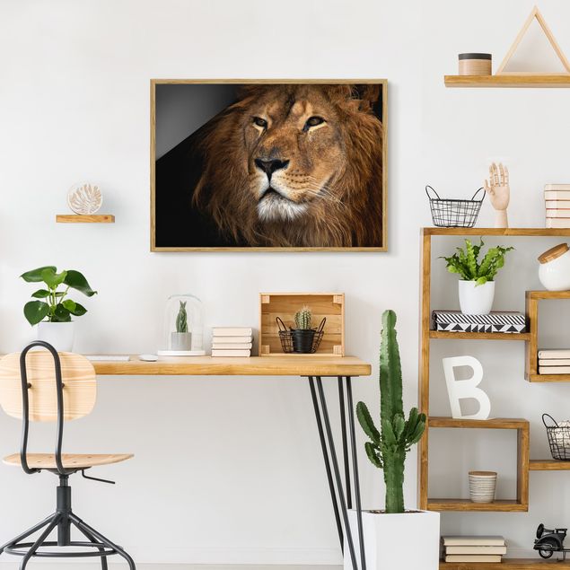 Gerahmte Bilder Tiere Löwenblick