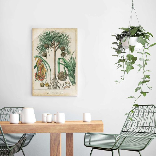 Wandbilder Landschaften Vintage Lehrtafel Exotische palmen I
