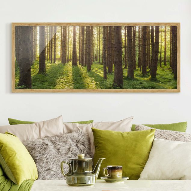 Wandbilder Bäume Sonnenstrahlen in grünem Wald