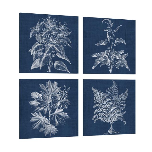 Wandbilder Blau Denim Pflanzenstudie Set II