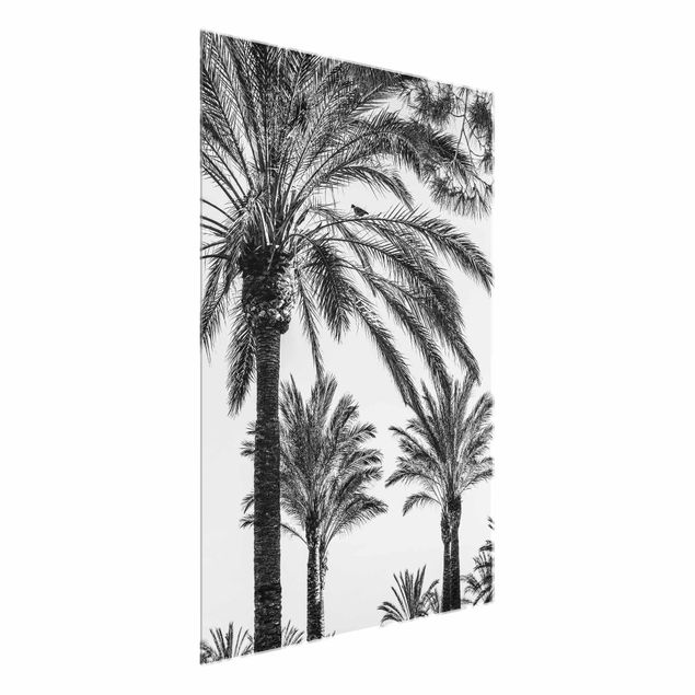 Glasbilder Blumen Palmen im Sonnenuntergang Schwarz-Weiß