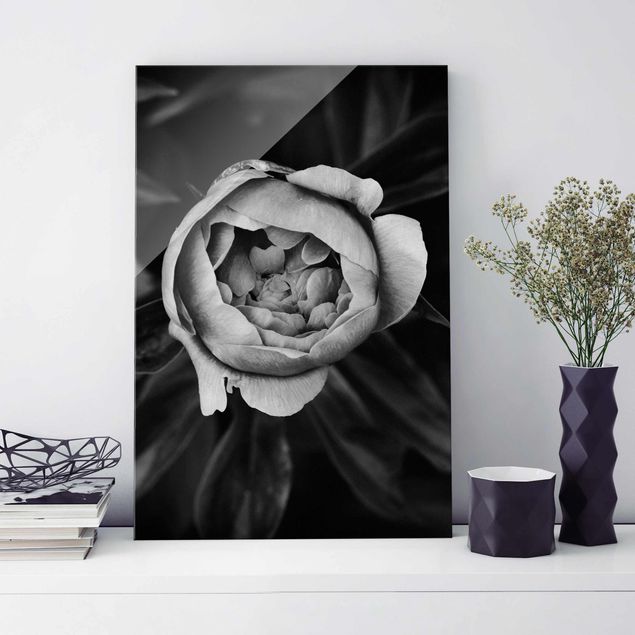Bilder auf Glas Pfingstrosenblüte vor Blättern Schwarz Weiß