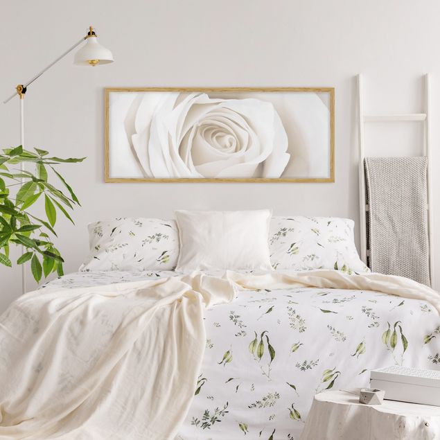 Wandbilder Floral Pretty White Rose