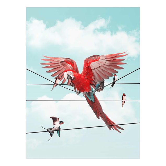 Wandbilder Modern Himmel mit Vögeln