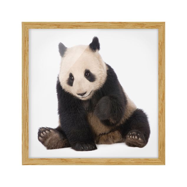 Wandbilder Modern Panda Tatzen