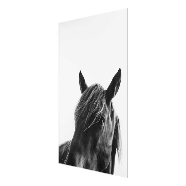 Wandbilder Schwarz-Weiß Neugieriges Pferd