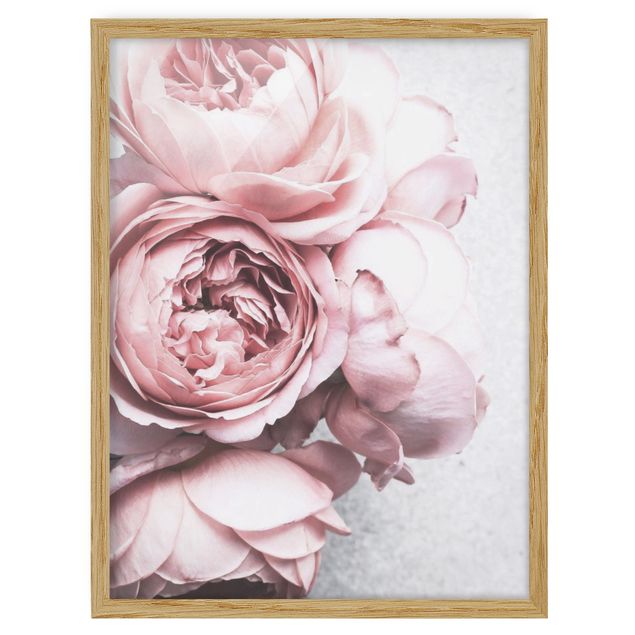 Wandbilder Blumen Rosa Pfingstrosenblüten Shabby Pastell