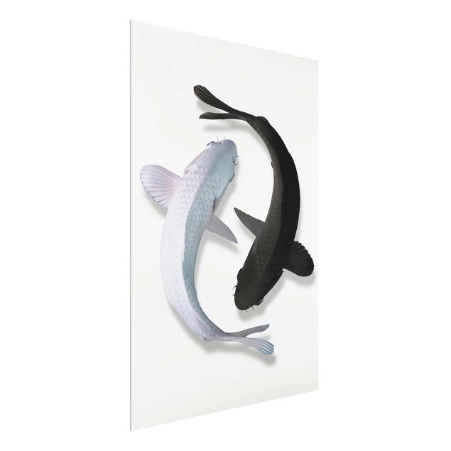 Glasbilder Tiere Fische Ying & Yang