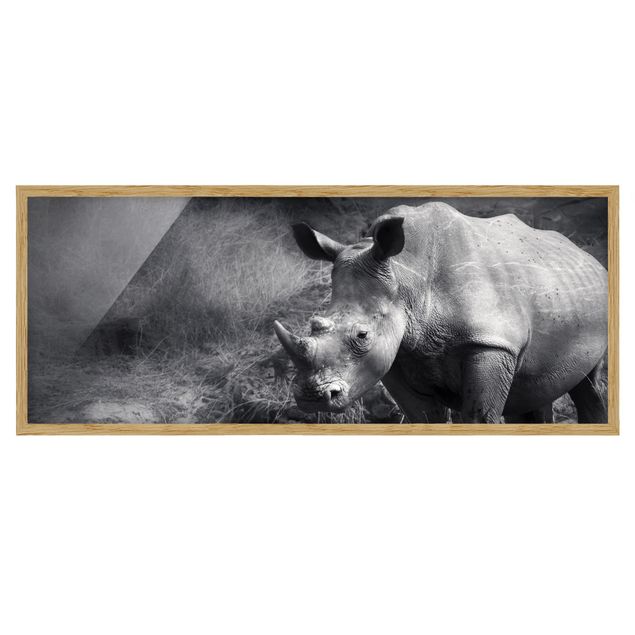 Wandbilder Modern Lonesome Rhinoceros