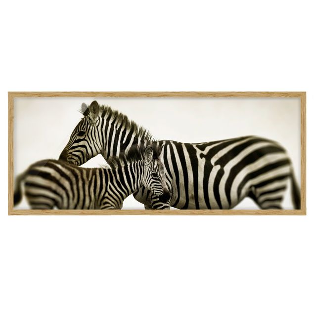 Gerahmte Bilder Tiere Zebrapaar
