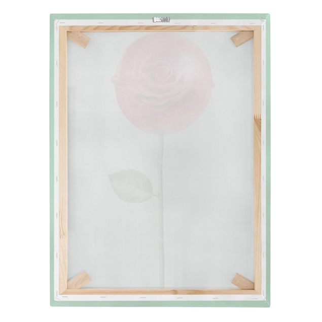 Jonas Loose Kunstdrucke Rose mit Lollipop