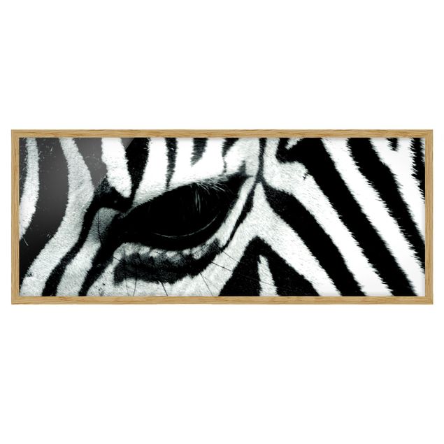 Tierbilder mit Rahmen Zebra Crossing