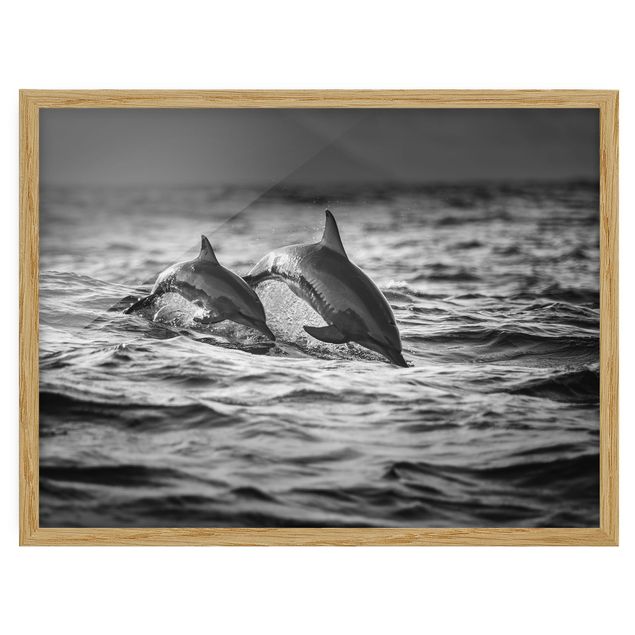 Gerahmte Bilder Tiere Zwei springende Delfine