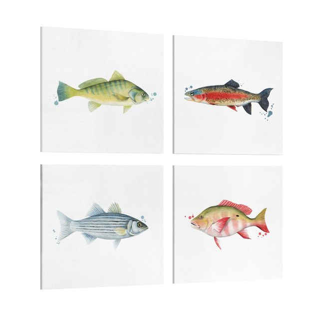 Wandbilder Modern Farbfang - Fische Set I