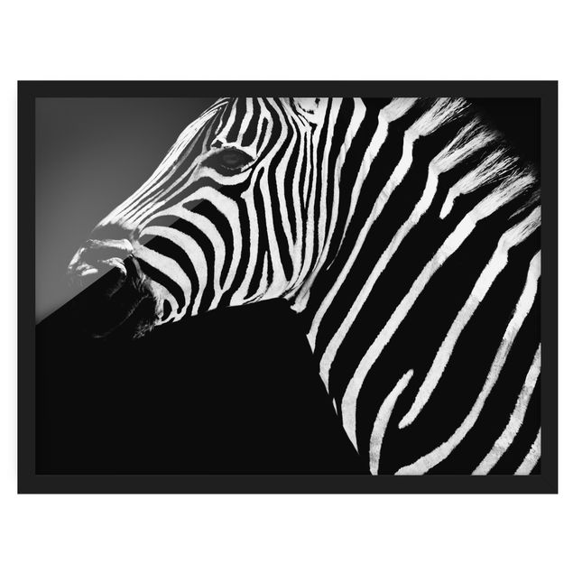 Gerahmte Bilder Abstrakt Zebra Safari Art