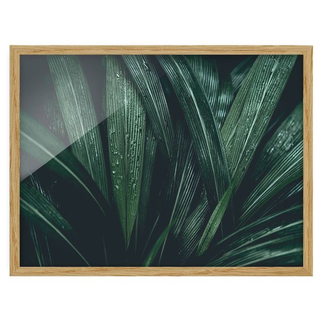 Wandbilder Blumen Grüne Palmenblätter