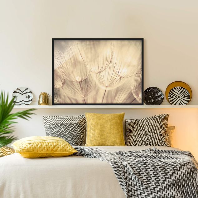 schwarz-weiß Bilder mit Rahmen Pusteblumen Nahaufnahme in wohnlicher Sepia Tönung