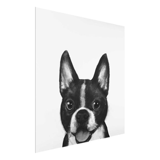 Glasbilder Schwarz-Weiß Illustration Hund Boston Schwarz Weiß Malerei