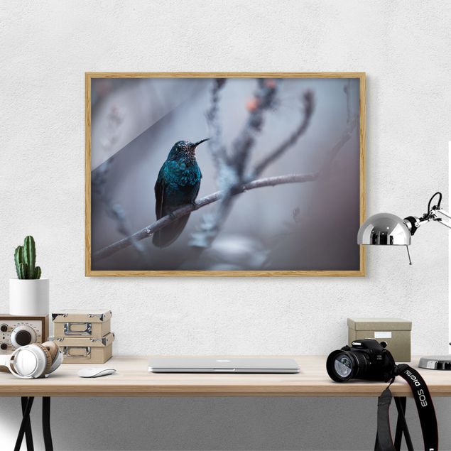 Tierbilder mit Rahmen Kolibri im Winter
