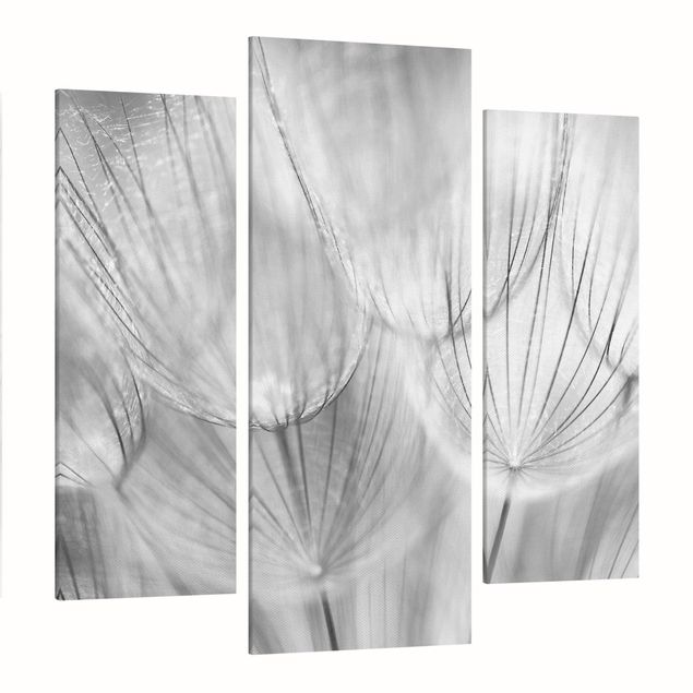 schwarz-weiß Bilder auf Leinwand Pusteblumen Makroaufnahme in schwarz weiß