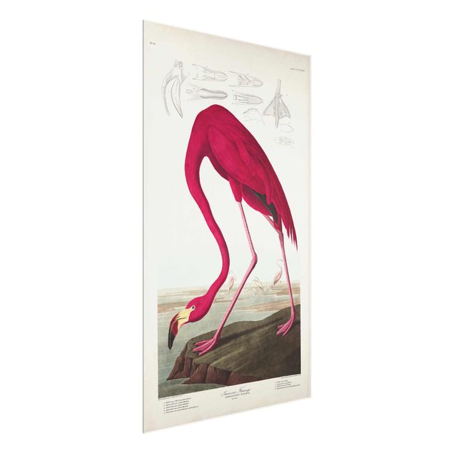 Wandbilder Blumen Vintage Lehrtafel Amerikanischer Flamingo