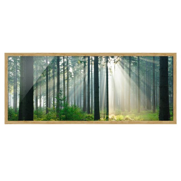 Landschaftsbilder mit Rahmen Enlightened Forest