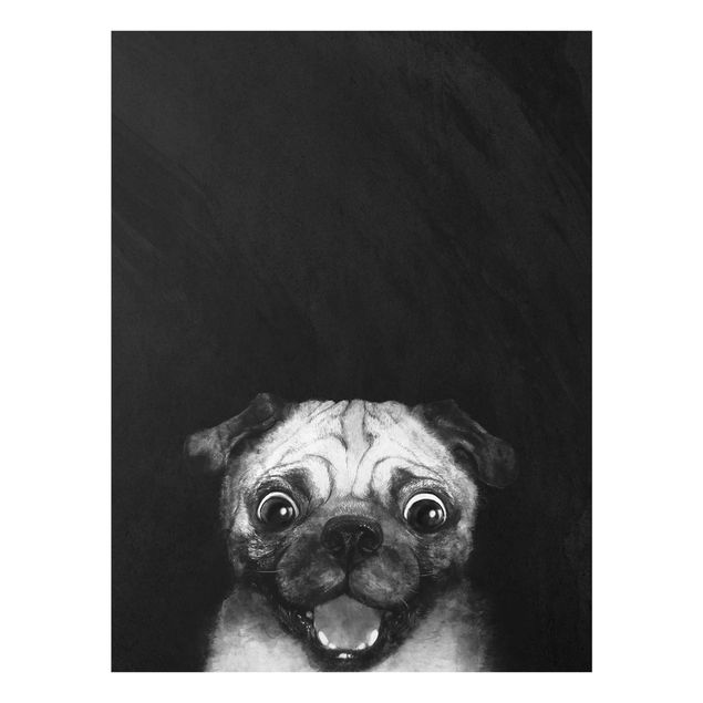 Glasbilder Tiere Illustration Hund Mops Malerei auf Schwarz Weiß