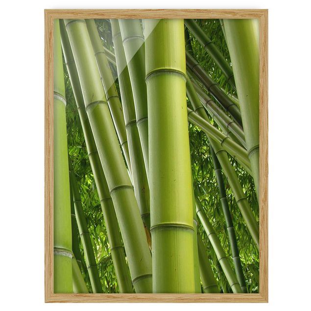 Blumenbilder mit Rahmen Bamboo Trees No.2
