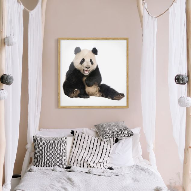 Tierbilder mit Rahmen Lachender Panda