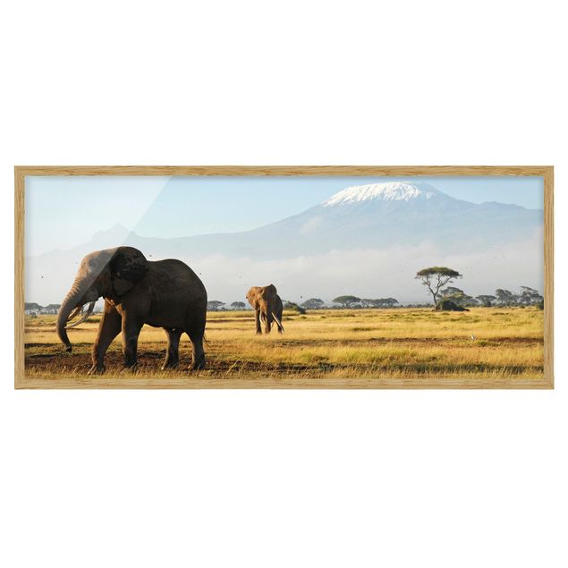 Gerahmte Bilder Landschaften Elefanten vor dem Kilimanjaro in Kenya