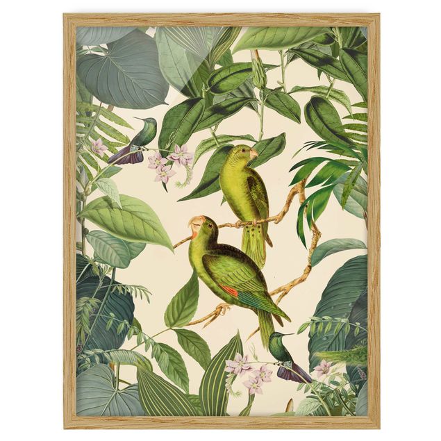 Wandbilder Floral Vintage Collage - Papageien im Dschungel