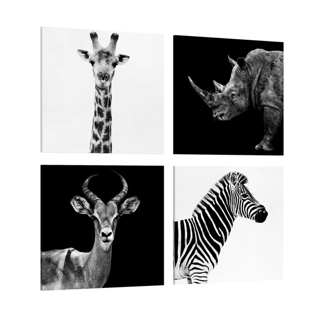 Leinwandbilder schwarz-weiß Safari Quartett