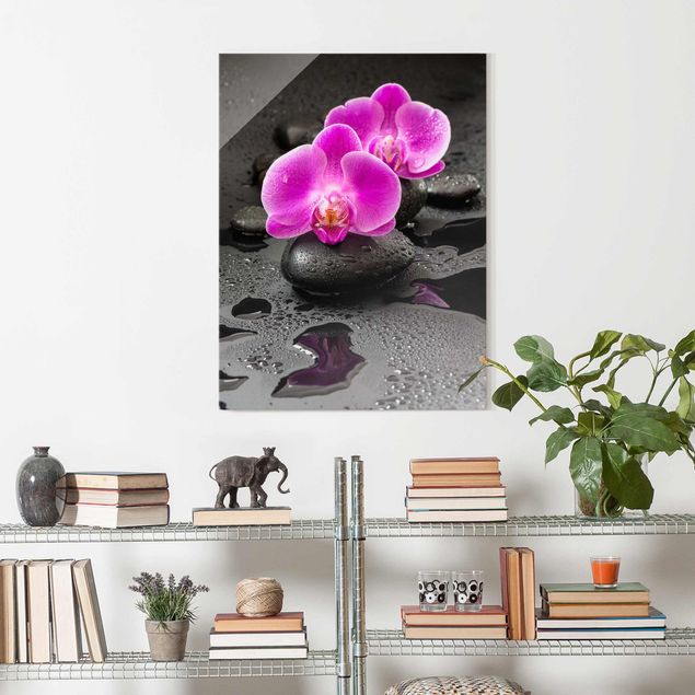 Wanddeko Küche Pinke Orchideenblüten auf Steinen mit Tropfen