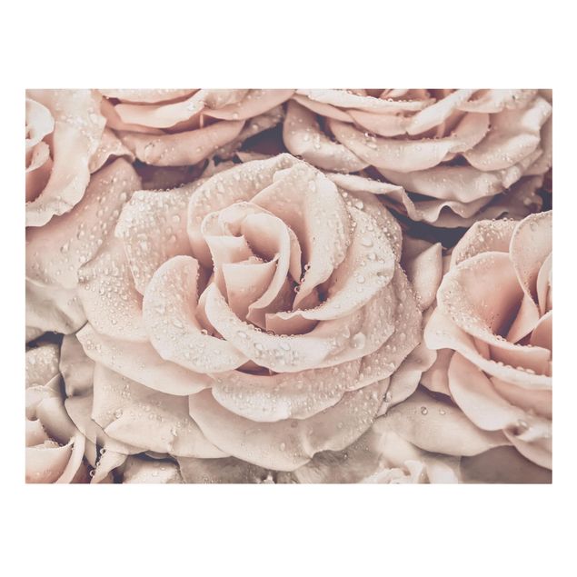 Wandbilder Blumen Rosen Sepia mit Wassertropfen