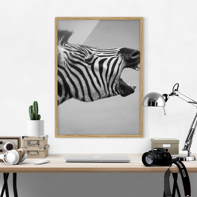 Wandbilder Zebras Brüllendes Zebra II