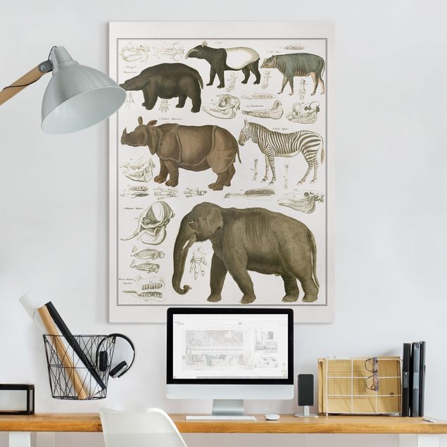 Elefant Leinwand Vintage Lehrtafel Elefant, Zebra und Nashorn