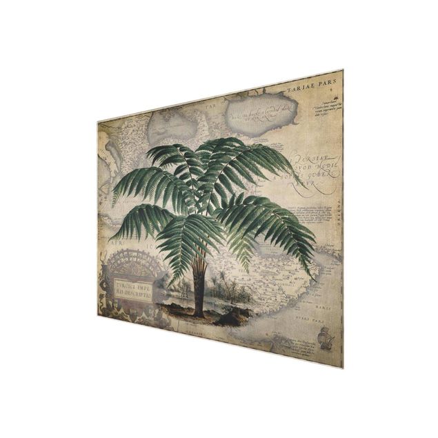 Wandbilder Grün Vintage Collage - Palme und Weltkarte