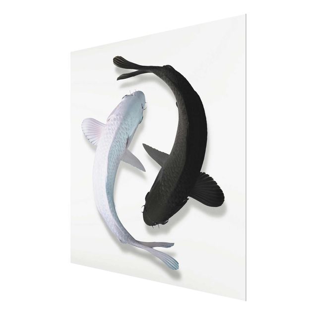 Wandbilder Schwarz-Weiß Fische Ying & Yang
