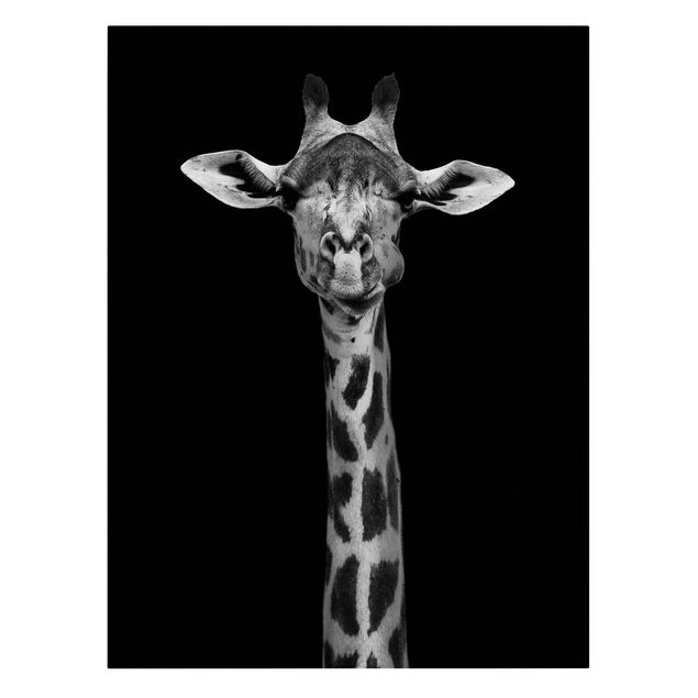Tierbilder Leinwand Dunkles Giraffen Portrait