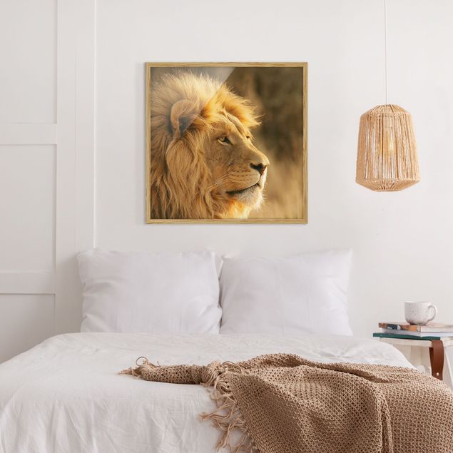 Gerahmte Bilder Tiere Löwenkönig